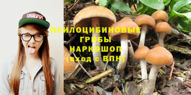 Галлюциногенные грибы MAGIC MUSHROOMS  ОМГ ОМГ вход  Андреаполь 